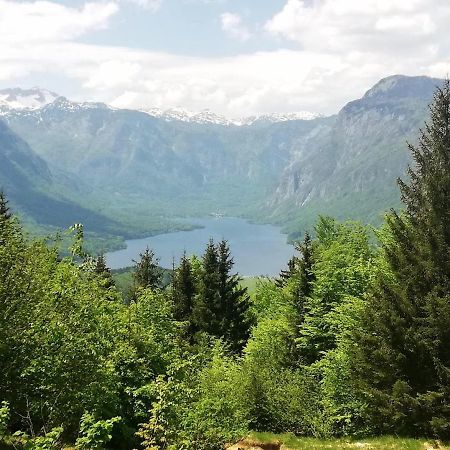 Apartment Ana Bohinj Dış mekan fotoğraf