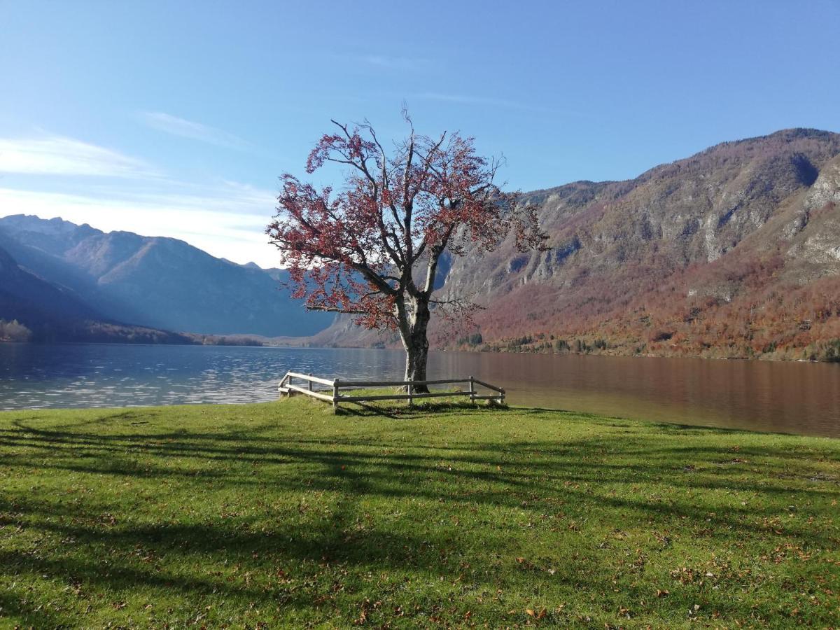 Apartment Ana Bohinj Dış mekan fotoğraf