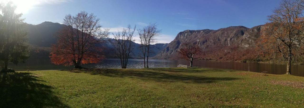 Apartment Ana Bohinj Dış mekan fotoğraf