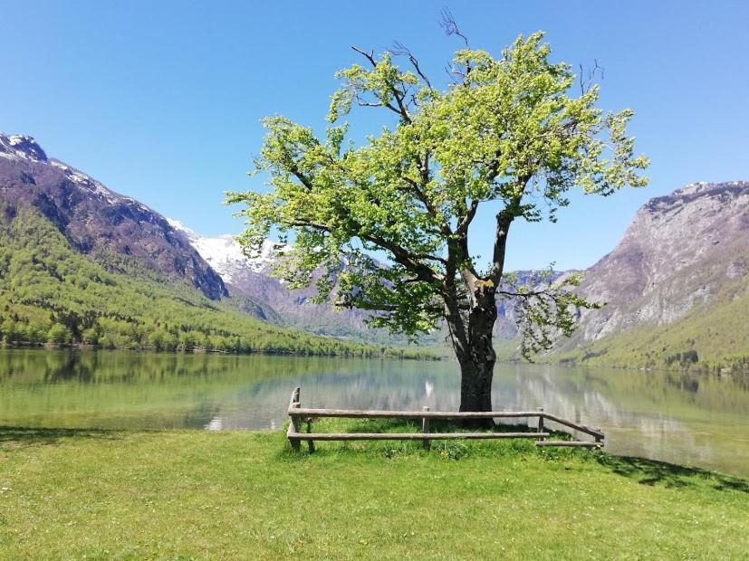 Apartment Ana Bohinj Dış mekan fotoğraf