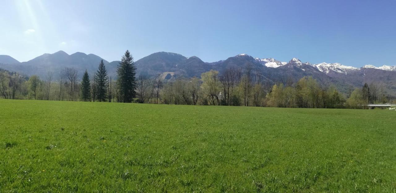 Apartment Ana Bohinj Dış mekan fotoğraf