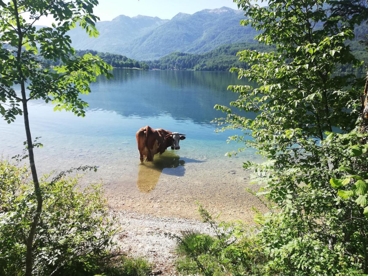 Apartment Ana Bohinj Dış mekan fotoğraf