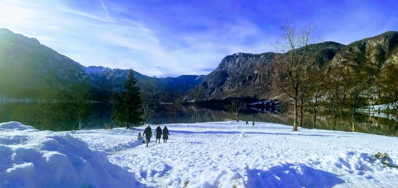 Apartment Ana Bohinj Dış mekan fotoğraf