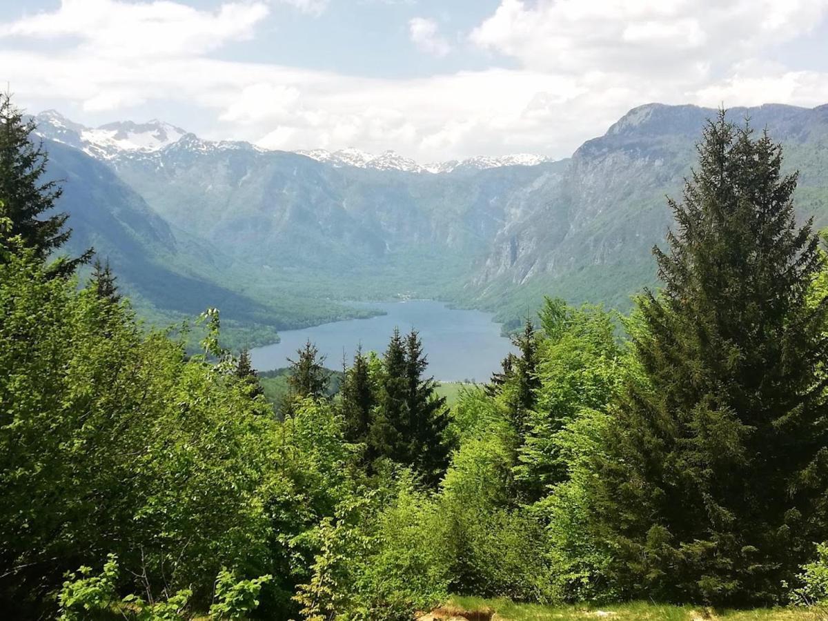 Apartment Ana Bohinj Dış mekan fotoğraf