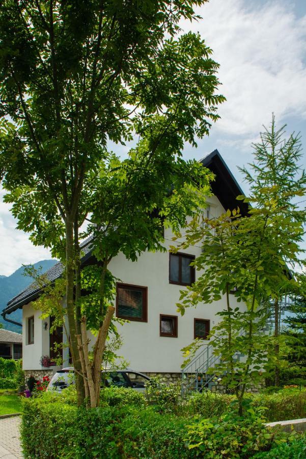 Apartment Ana Bohinj Dış mekan fotoğraf