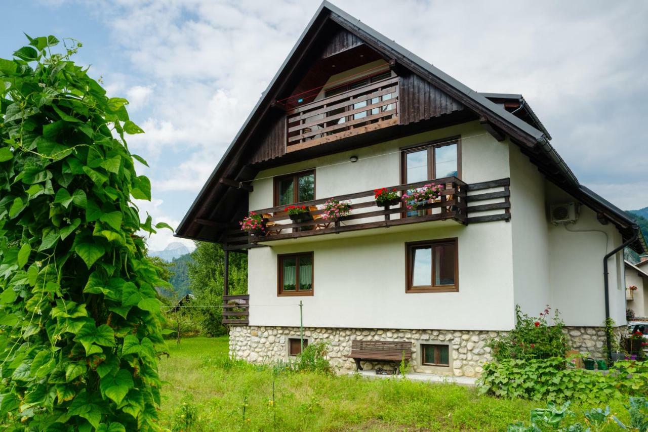 Apartment Ana Bohinj Dış mekan fotoğraf