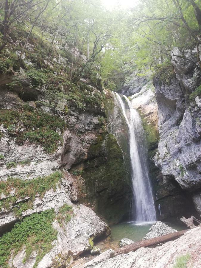 Apartment Ana Bohinj Dış mekan fotoğraf