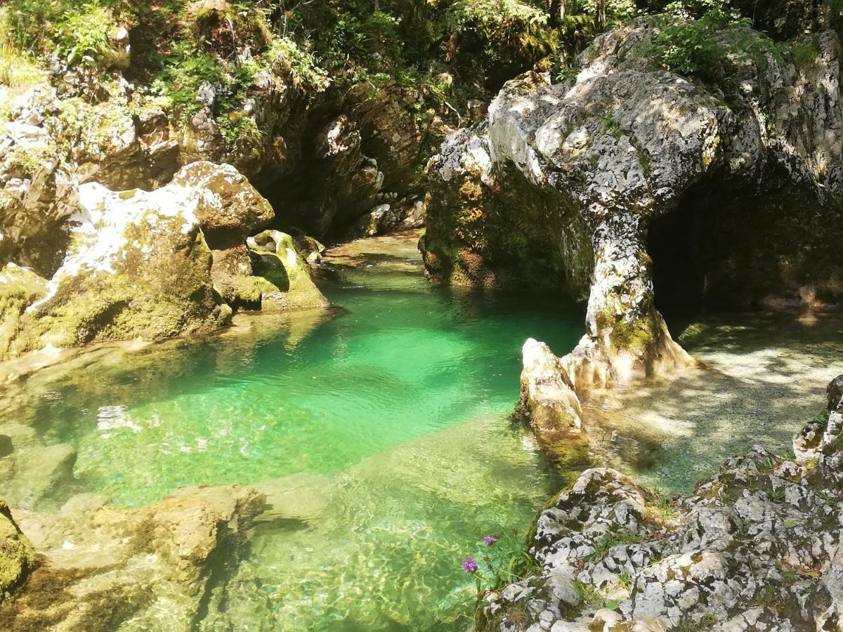 Apartment Ana Bohinj Dış mekan fotoğraf